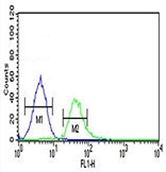 TCF4 antibody flow cytometric analysis of K562 cells (green) compared to a <a href=../search_result.php?search_txt=n1001>negative control</a> (blue). FITC-conjugated goat-anti-rabbit secondary Ab was used for the analysis.