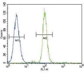 CD14 antibody flow cytometric analysis of A549 cells (right histogram) compared to a negative control (left histogram). FITC-conjugated goat-anti-rabbit secondary Ab was used for the analysis.