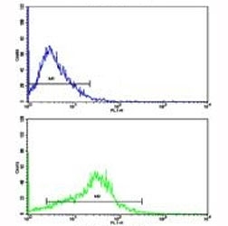 Flow cytometric analysis of HepG2 cells using APP antibody (bottom histogram) compared to a negative control (top histogram). FITC-conjugated goat-anti-rabbit secondary Ab was used for the analysis.