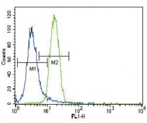 PRKN Antibody Human NCI-H460 Lung Cancer Cell FACS. Flow cytometry analysis of human NCI-H460 lung cancer cells was performed with PRKN Antibody followed by FITC-conjugated goat anti-rabbit secondary antibody. PRKN/Parkin staining (green, right histogram) shows a clear fluorescence shift compared with the negative control (blue, left histogram), demonstrating positive detection of the target protein. This PRKN Antibody demonstrates detection of Parkin RBR E3 ubiquitin ligase in human NCI-H460 lung cancer cells.