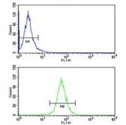 ABCG1 antibody flow cytometry analysis of HepG2 cells (bottom histogram) compared to a negative control (top histogram). FITC-conjugated goat-anti-rabbit secondary Ab was used for the analysis.