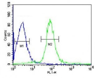 VHL antibody flow cytometric analysis of HepG2 cells (green) compared to a negative control (blue). FITC-conjugated goat-anti-rabbit secondary Ab was used for the analysis.