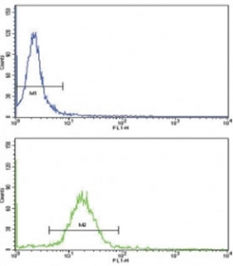 Flow cytometric analysis of MDA-231 cells using WNT10B antibody (green) compared to a negative control (blue). FITC-conjugated goat-anti-rabbit secondary Ab was used for the analysis.