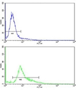 Flow cytometric analysis of 293 cells using WNT4 antibody (green) compared to a negative control (blue). FITC-conjugated goat-anti-rabbit secondary Ab was used for the analysis.