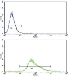 Flow cytometric analysis of MDA-MB468 cells using WNT4 antibody (green) compared to aÂ negative controlÂ (blue). FITC-conjugated goat-anti-rabbit secondary Ab was used for the analysis.