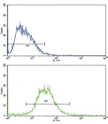 Flow cytometric analysis of HepG2 cells using IL17RB antibody (bottom histogram) compared to a negative control (top histogram). FITC-conjugated goat-anti-rabbit secondary Ab was used for the analysis.