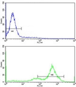 Flow cytometric analysis of K562 cells using GATA2 antibody (green) compared to a <a href=../search_result.php?search_txt=n1001>negative control</a> (blue). FITC-conjugated goat-anti-rabbit secondary Ab was used for the analysis.