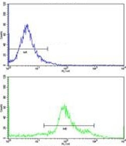 Flow cytometric analysis of WiDr cells using ASS1 antibody (green) compared to a <a href=