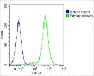 Interleukin-1 Alpha Antibody Detects IL1A in Jurkat T Cells FACS. Flow cytometry analysis of fixed and permeabilized human Jurkat T cells using Interleukin-1 Alpha Antibody at 1:25 demonstrates a strong rightward fluorescence shift in the antibody-stained population (green) relative to the rabbit IgG1 isotype control (blue), with minimal overlap between the populations. Cells were fixed with 2% paraformaldehyde, permeabilized with 90% methanol for 10 min, blocked with 2% BSA, and incubated with primary antibody for 60 min at 37oC. DyLight 488-conjugated goat anti-rabbit IgG at 1:200 was used for detection. The pronounced separation demonstrates intracellular IL1A detection by this IL1A Antibody in Jurkat T cells.
