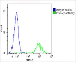 Interleukin-1 Alpha Antibody Detects IL1A in Raji B Cells FACS. Flow cytometry analysis of fixed and permeabilized human Raji B cells using Interleukin-1 Alpha Antibody at 1:25 demonstrates a pronounced rightward fluorescence shift in the antibody-stained population (green) relative to the rabbit IgG1 isotype control (blue), with minimal overlap between the populations. Cells were fixed with 2% paraformaldehyde, permeabilized with 90% methanol for 10 min, blocked with 2% BSA, and incubated with primary antibody for 60 min at 37oC. DyLight 488-conjugated goat anti-rabbit IgG at 1:200 was used for detection. The clear population separation demonstrates intracellular IL1A detection by this IL1A Antibody in Raji B cells.