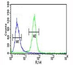AKT2 antibody flow cytometric analysis of NCI-H460 cells (green) compared to a negative control (blue).
