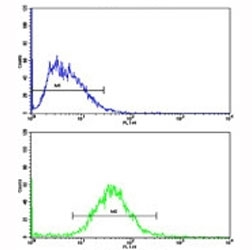 Flow cytometric analysis of HepG2 cells using Cyclin A2 antibody (bottom histogram) compared to a negative control (top histogram). FITC-conjugated goat-anti-rabbit secondary Ab was used for the analysis.