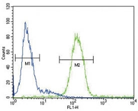 CP antibody flow cytometric analysis of HepG2 cells (green) compared to a negative control (blue). FITC-conjugated goat-anti-rabbit secondary Ab was used for the analysis.