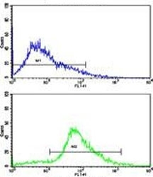 Flow cytometric analysis of Jurkat cells using CDK2 antibody (bottom histogram) compared to a <a href=../search_result.php?search_txt=n1001>negative control</a> (top histogram). FITC-conjugated goat-anti-rabbit secondary Ab was used for the analysis.