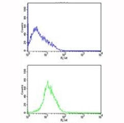CDK4 antibody flow cytometric analysis of HL-60 cells (bottom histogram) compared to a negative control (top histogram). FITC-conjugated goat-anti-rabbit secondary Ab was used for the analysis.