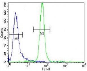 MUSK antibody flow cytometric analysis of CEM cells (right histogram) compared to a negative control cell (left histogram). FITC-conjugated goat-anti-rabbit secondary Ab was used for the analysis.