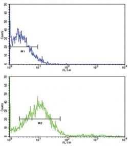 Flow cytometric analysis of NCI-H292 cells using ROR2 antibody (green) compared to a <a href=../tds/rabbit-igg-isotype-control-polyclonal-antibody-n1001>negative control</a> (blue). FITC-conjugated goat-anti-rabbit secondary Ab was used for the analysis.
