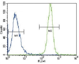 LYN antibody flow cytometric analysis of HeLa cells (green) compared to a negative control (blue). FITC-conjugated goat-anti-rabbit secondary Ab was used for the analysis.