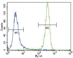 NRAS antibody flow cytometric analysis of NCI-H460 cells (green) compared to a <a href=../search_result.php?search_txt=n1001>negative control</a> (blue). FITC-conjugated goat-anti-rabbit secondary Ab was used for the analysis.
