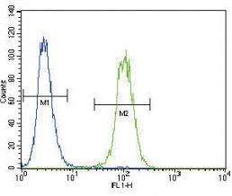 UPA antibody flow cytometric analysis of A2058 cells (green) compared to a <a href=