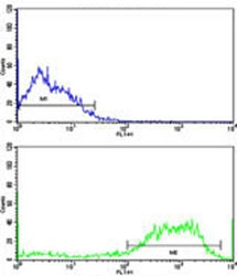Flow cytometric analysis of SK-Br-3 cells using ABI1 antibody (bottom histogram) compared to a negative control (top histogram). FITC-conjugated goat-anti-rabbit secondary Ab was used for the analysis.