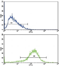 Flow cytometric analysis of HepG2 cells using IFNB1 antibody (blue) compared to a negative control (green). FITC-conjugated goat-anti-rabbit secondary Ab was used for the analysis.