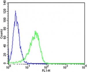 Flow cytometric analysis of SK-BR-3 cells using MICA antibody (green) compared to an isotype control of <a href=