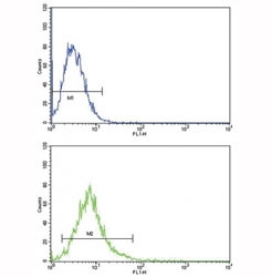 ATF6 antibody flow cytometric analysis of K562 cells (bottom histogram) compared to a negative control (top histogram). FITC-conjugated goat-anti-rabbit secondary Ab was used for the analysis.