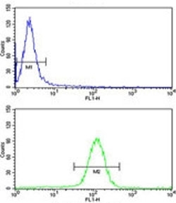 UHRF1 antibody flow cytometry analysis of HeLa cells (green) compared to a <a href=../search_result.php?search_txt=n1001>negative control</a> (blue). FITC-conjugated goat-anti-rabbit secondary Ab was used for the analysis.