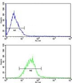 PIN1 antibody FACS analysis of MCF-7 cells (green) compared to a <a href=