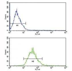 LDLR antibody flow analysis of MCF-7 cells (bottom histogram) compared to a negative control (top histogram). FITC-conjugated goat-anti-rabbit secondary Ab was used for the analysis.