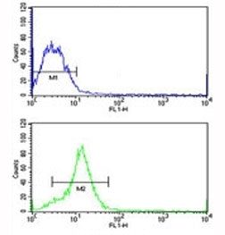 HMGA1 antibody flow cytometric analysis of MCF-7 cells (green) compared to a negative control (blue). FITC-conjugated goat-anti-rabbit secondary Ab was used for the analysis.
