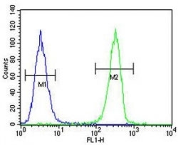 HOXA9 antibody flow cytometric analysis of A375 cells (green) compared to a <a href=../search_result.php?search_txt=n1001>negative control</a> (blue). FITC-conjugated goat-anti-rabbit secondary Ab was used for the analysis.