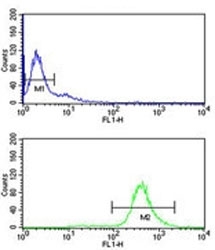 EIF2A antibody flow cytometry analysis of Ramos cells (bottom histogram) compared to a negative control (top histogram). FITC-conjugated goat-anti-rabbit secondary Ab was used for the analysis.