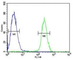 RNF8 antibody flow cytometric analysis of Jurkat cells (green) compared to a negative control (blue). FITC-conjugated goat-anti-rabbit secondary Ab was used for the analysis.