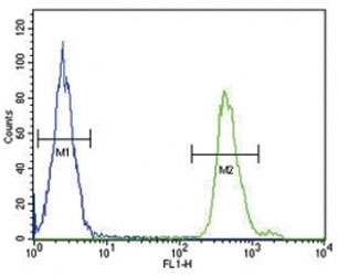 SMAD3 antibody flow cytometric analysis of MDA-MB231 cells (green) compared to aÂ negative control