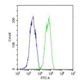 Flow cytometry testing of fixed and permeabilized human HepG2 cells with GPX1 antibody; Blue=isotype control, Green= GPX1 antibody.