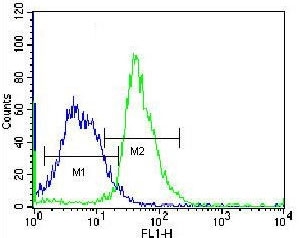 Flow cytometry testing of fixed and permeabilized human HepG2 cells with MAP1LC3B antibody; Blue=isotype control, Green= MAP1LC3B antibody.