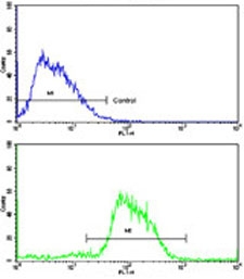 Flow cytometry testing of human HepG2 cells with Cadherin 4 antibody; Blue=isotype control, Green= Cadherin 4 antibody.