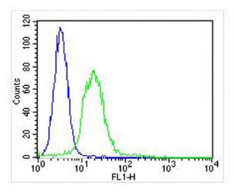 Flow cytometry testing of fixed and permeabilized human U-2 OS cells with Integrin alpha 7 antibody; Blue=isotype control, Green= Integrin alpha 7 antibody.