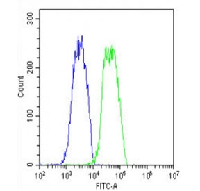 Flow cytometry testing of fixed and permeabilized human HepG2 cells with TSP5 antibody; Blue=isotype control, Green= TSP5 antibody.