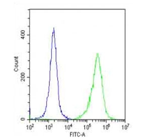 Flow cytometry testing of fixed and permeabilized human HeLa cells with Folate Receptor alpha antibody; Blue=isotype control, Green= Folate Receptor alpha antibody.