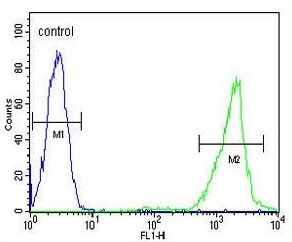 Flow cytometry testing of fixed and permeabilized human Ramos cells with CD168 antibody; Blue=isotype control, Green= CD168 antibody.