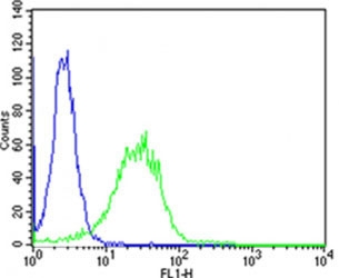 Flow cytometry testing of human HeLa cells with PIP4K2 alpha antibody; Blue=isotype control, Green= PIP4K2 alpha antibody.