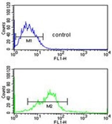 Flow cytometry testing of human MCF7 cells with ErbB3-binding protein 1 antibody; Blue=isotype control, Green= ErbB3-binding protein 1 antibody.