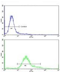 Flow cytometry testing of human HeLa cells with IMMT antibody; Blue=isotype control, Green= IMMT antibody.
