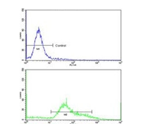 Flow cytometry testing of human HeLa cells with UNRIP antibody; Blue=isotype control, Green= UNRIP antibody.