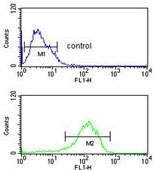 Flow cytometry testing of human MCF7 cells with Lymphocyte Specific Protein 1 antibody; Blue=isotype control, Green= Lymphocyte Specific Protein 1 antibody.