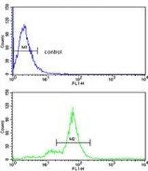 Flow cytometry testing of human MDA-MB-231 cells with SMAC/Diablo antibody; Blue=isotype control, Green= SMAC/Diablo antibody.