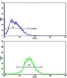 Ferritin heavy chain Antibody FACS. Flow cytometry testing of human HepG2 cells with Ferritin heavy chain antibody; Blue=isotype control, Green= Ferritin heavy chain antibody.